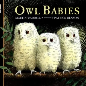 Owl Babies Wholesale