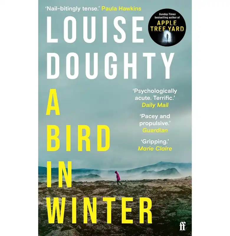 Holiday Sale A Bird In Winter - Paperback