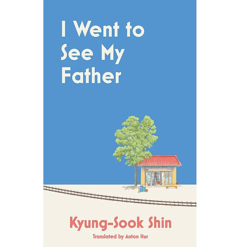 I Went To See My Father (Tpb) - Paperback Free Delivery