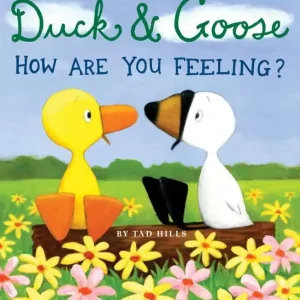 Viral Duck & Goose: How Are You Feeling? (Board Book)