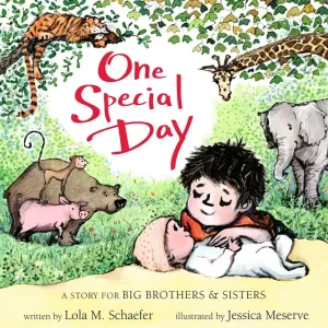 Free Delivery One Special Day: A Story for Big Brothers and Sisters