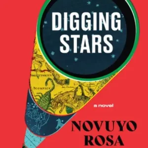 Holiday Sale Digging Stars