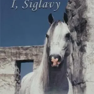 I, Siglavy Free Shipping