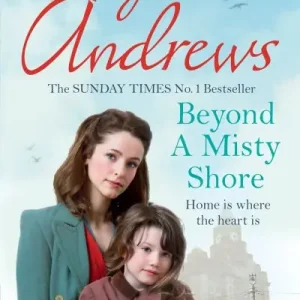 Beyond a Misty Shore Big Sale