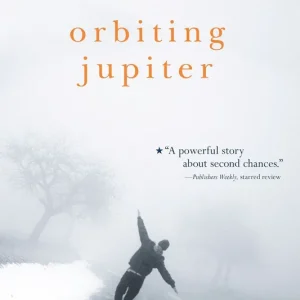 Bargain Orbiting Jupiter
