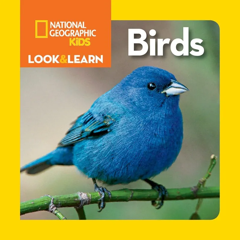 Direct From Factory National Geographic Kids: Look and Learn: Birds (Board Book)
