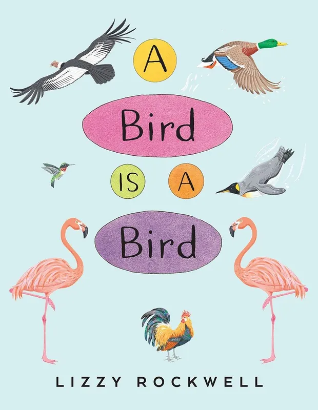 A Bird is a Bird Budget