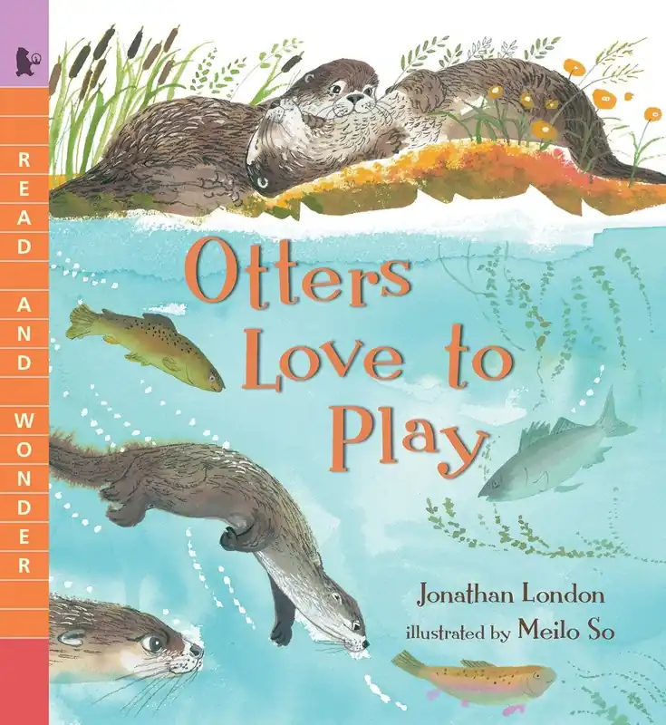 Popular Otters Love to Play