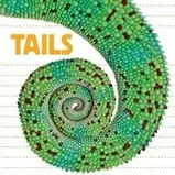 Final Sale Whose Is It? Tails (Board Book)