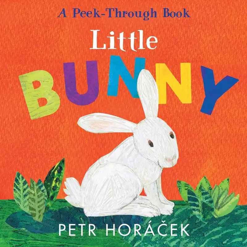 Little Bunny (Board Book) Last Chance