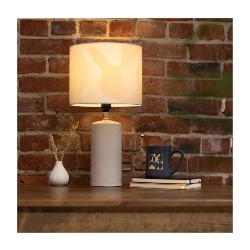 Wholesale Pokémon Home Accents Lampshade (Carton of 8 Lampshades)
