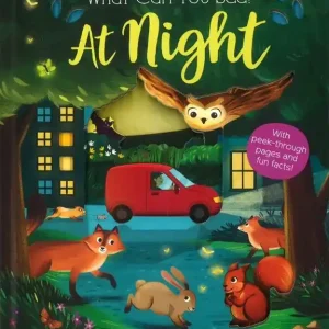 What Can You See? At Night (Carton of 18 Board Books) While Supplies Last