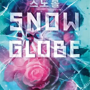 Budget Snowglobe (Carton of 12 Hardcover Books)