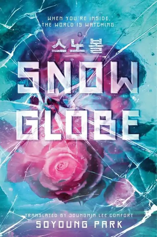 Budget Snowglobe (Carton of 12 Hardcover Books)