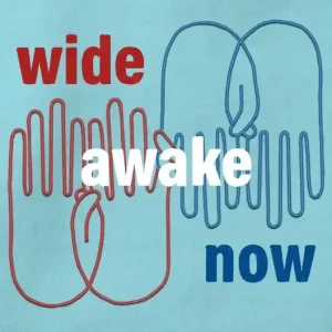 Limited Time Wide Awake Now (Carton of 12 Hardcover Books)