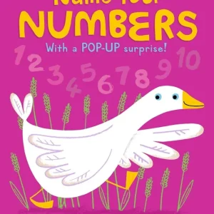 Limited Time Name Your Numbers (Board Book) (Carton of 30 Board Books)