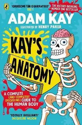 Buy Direct Kay’s Anatomy