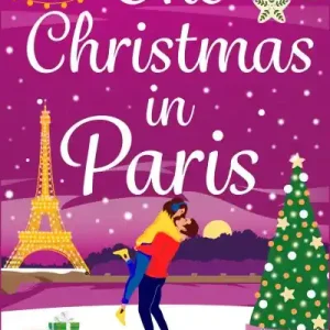 Modern One Christmas in Paris