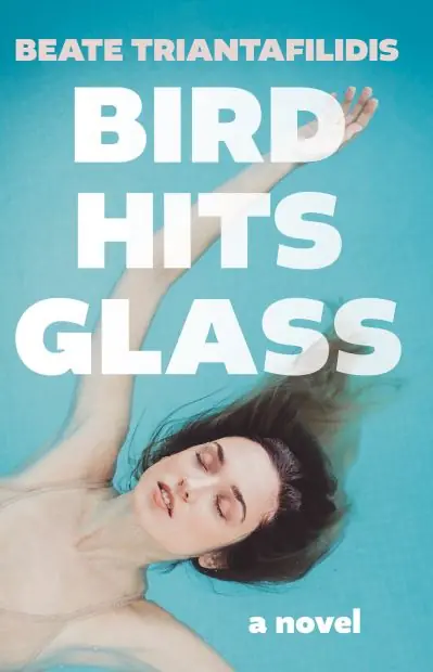 Instant Buy Bird Hits Glass