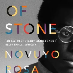 Factory Price House of Stone