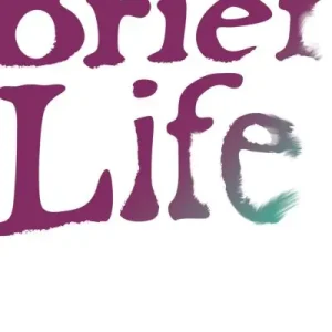 Money Back Guarantee Brief Life