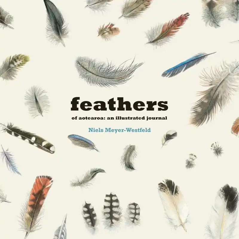 Feathers of Aotearoa Hardback Top Rated