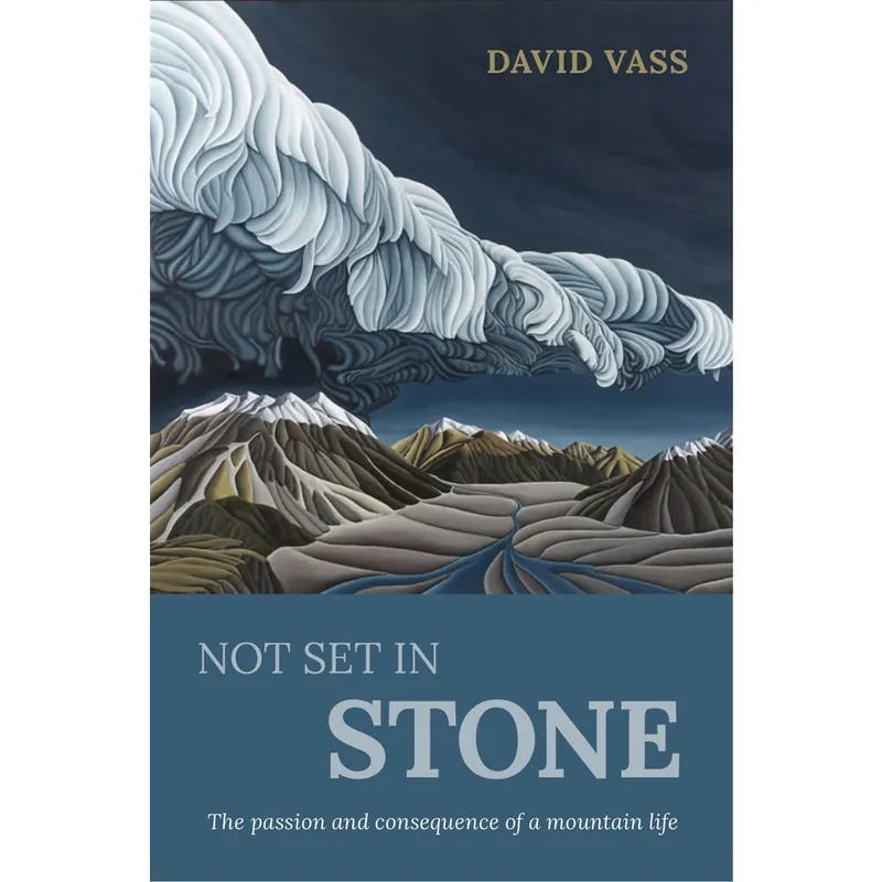 Professional Grade Not Set In Stone Paperback