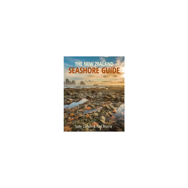 Big Sale The New Zealand Seashore Guide Paperback