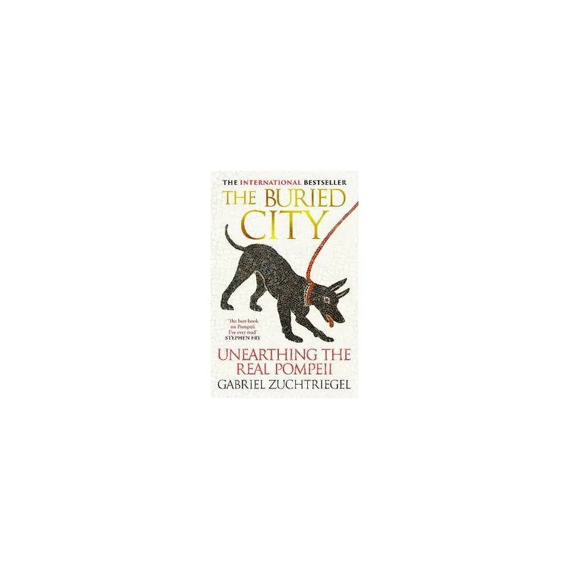 Special Offer The Buried City Trade Paperback