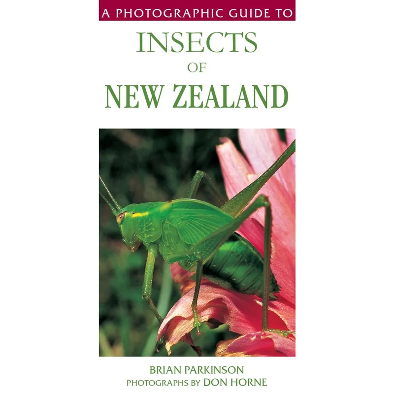 A Photographic Guide to Insects of New Zealand Paperback Bargain