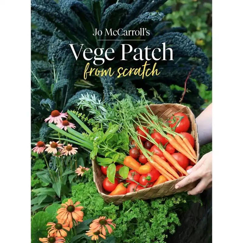 Handmade Vege Patch from Scratch Paperback