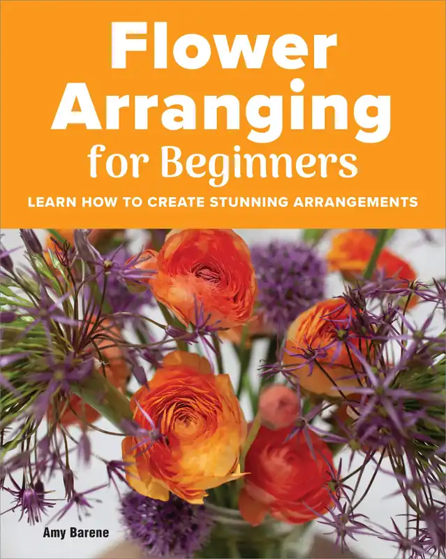 Flower Arranging for Beginners Shop Now