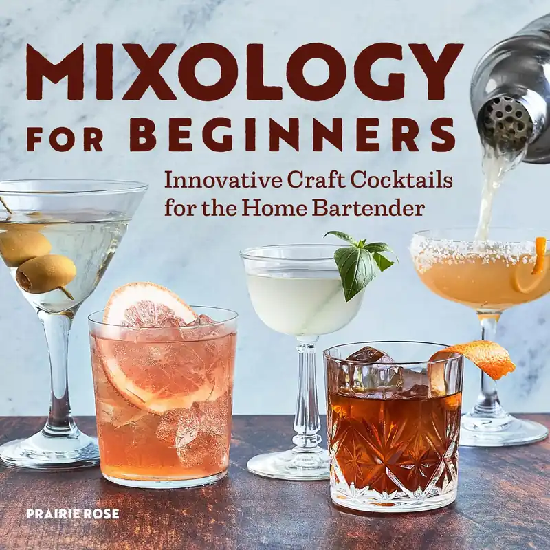Mixology for Beginners Big Sale